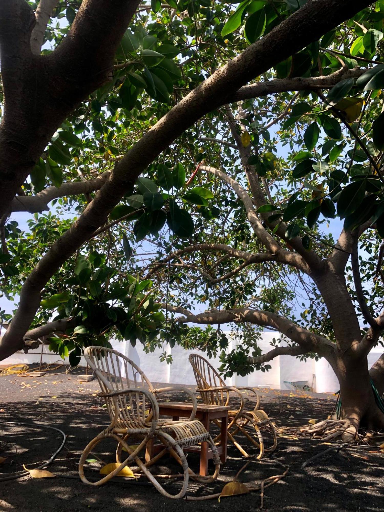 Villa Luciano "Spirit Of The Canaries" Tías Εξωτερικό φωτογραφία